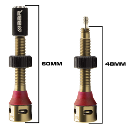 V�lvula Tubeless 4X+ 48mm