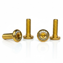 Parafusos Para Suporte de Caramanhola - Kit C/ 4